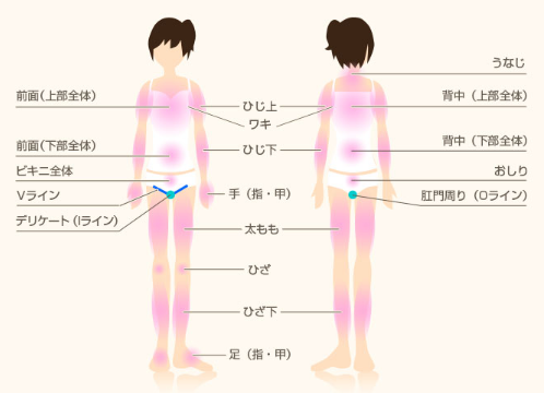 大宮マリアクリニックの脱毛範囲画像 大宮マリアクリニックの脱毛範囲画像