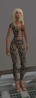 Image from Gyazo