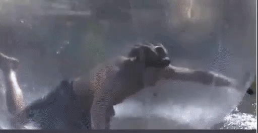 2c08a80498bda3eefe372bac0bd20b46.gif