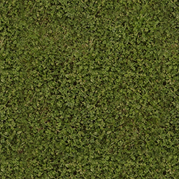 2d33c9a2e728ce472fc628c98b1f076f.png