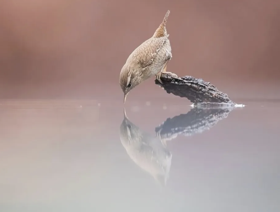 2e05373e033c1b83c5f610fcdb2b03a9.png