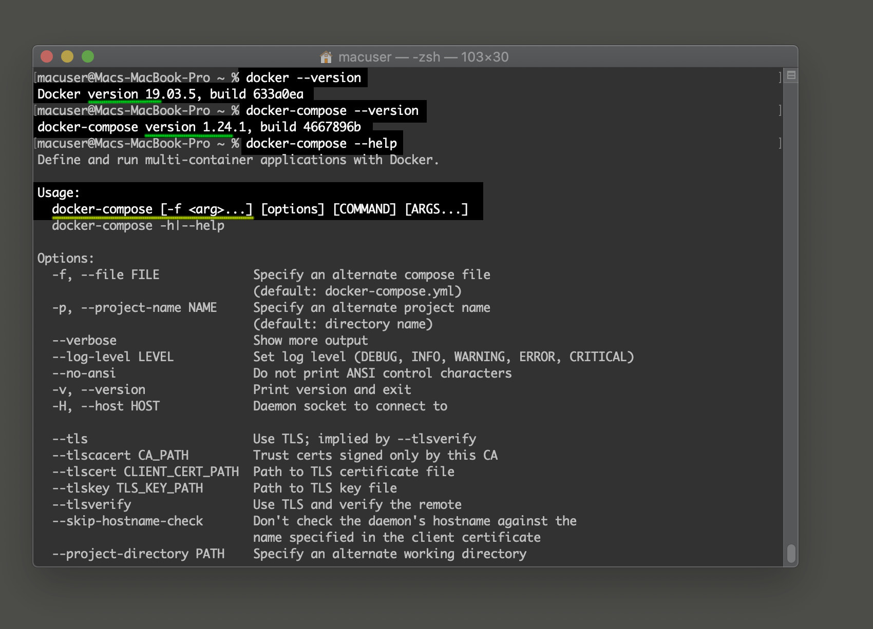 Screenshot of Docker Django Postgres getting versions for Docker and Docker-Compose