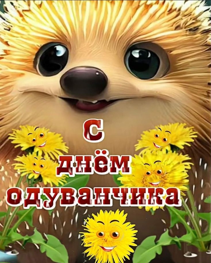 https://i.gyazo.com/2e68cad47a22dd61ece5c4a2152f54c0.jpg