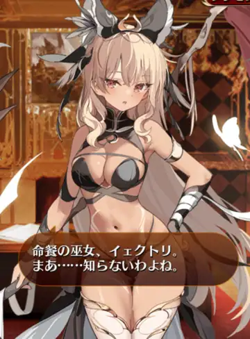 トピック関連画像