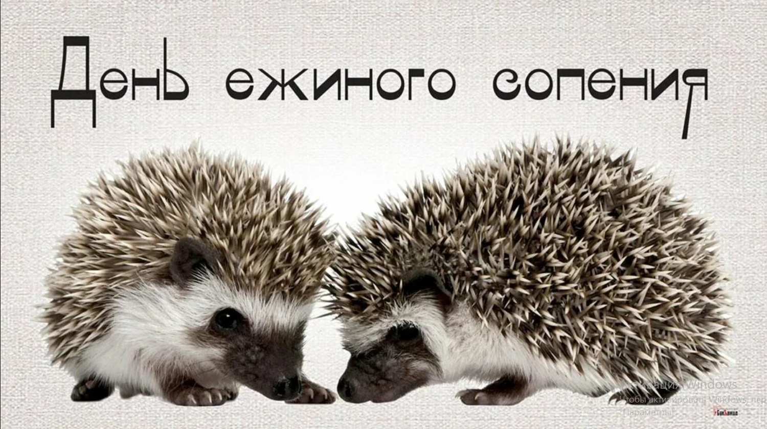 https://i.gyazo.com/2f175838e9cb11b2b98091dc818654fb.jpg