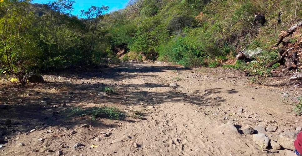 Descripción