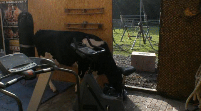 2f35574296bff7150b4191c0e01ed2cf.gif