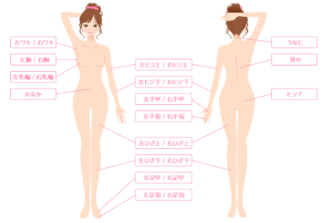 レジーナクリニックの脱毛範囲画像 レジーナクリニックの脱毛範囲画像