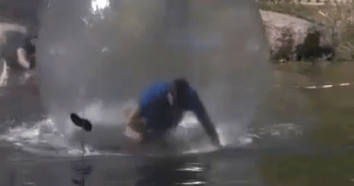 304b19161aa5a986b112d31492bd24e4.gif