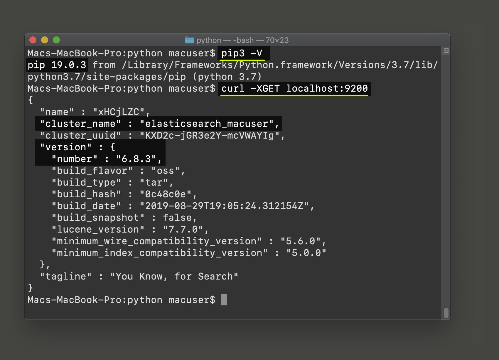 Screenshot of terminal getting PIP3 response and cURL request for Elasticsearch