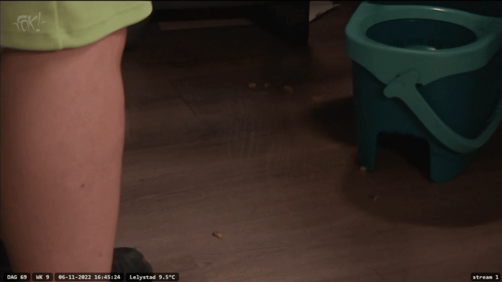 30ed2a73a6e79a816c36f423ef6bf5ef.gif