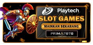 PLAY TECH