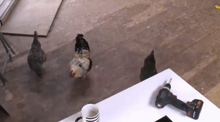3100416b70c38597eb9206093ae526ef.gif