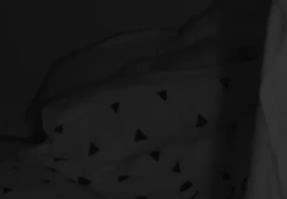 311a0c2983cb24a5a8719392acb52bc1.gif