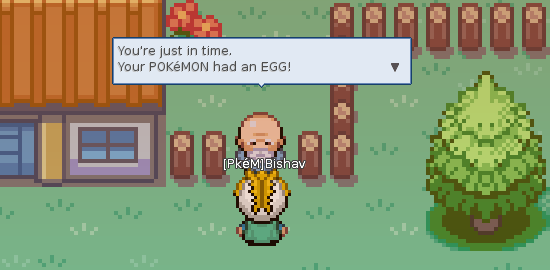 egg pokemon name