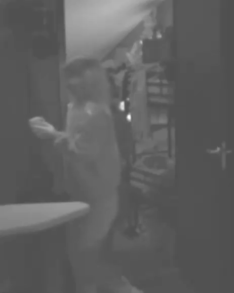 316659dea5ea14a18745a232dcb31a99.gif