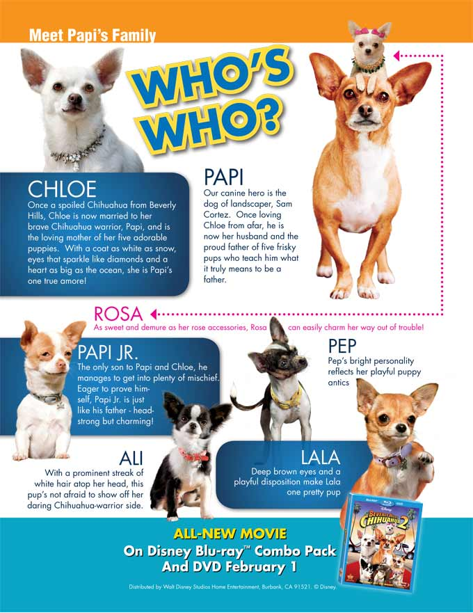 beverly hills chihuahua puppies