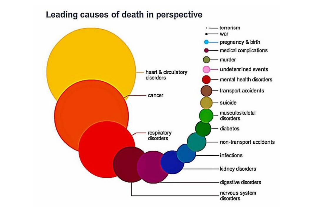 Заболевания от которых умирают. Самые распространенные заболевания. Самые частые заболевания. Причины смерти диаграмма. Самые распространенные причины смерти.