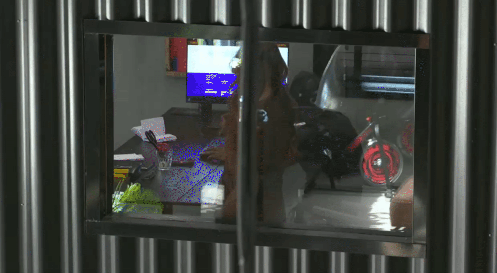 321b6d2e33b2aec5aeb0ac244e462bfa.gif