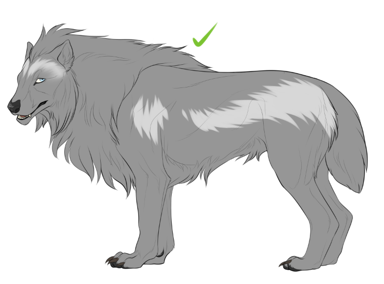 wolverine base layer