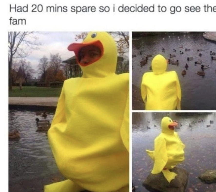 328928528123d3232673a5dbf1944674.png