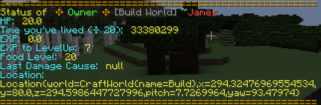 Developer Commands | SpigotMC - High Performance Minecraft Community