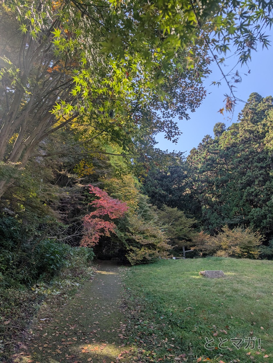 秋晴れの良い天気に、少し紅葉