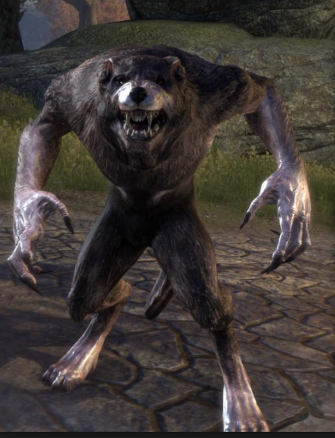 Should Werewolf form change? 