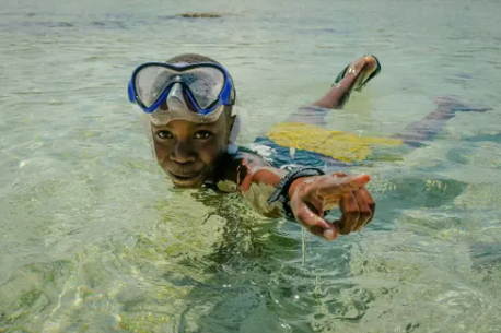 Whale-Watching Santa Teresa