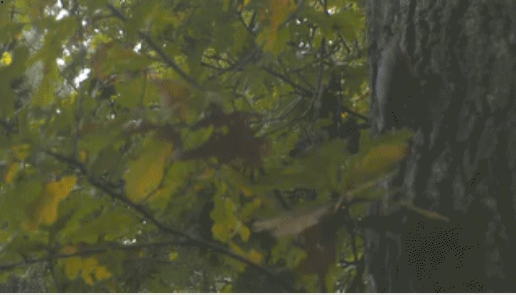 34c50eecbe4aaf97767ec07e84181f46.gif