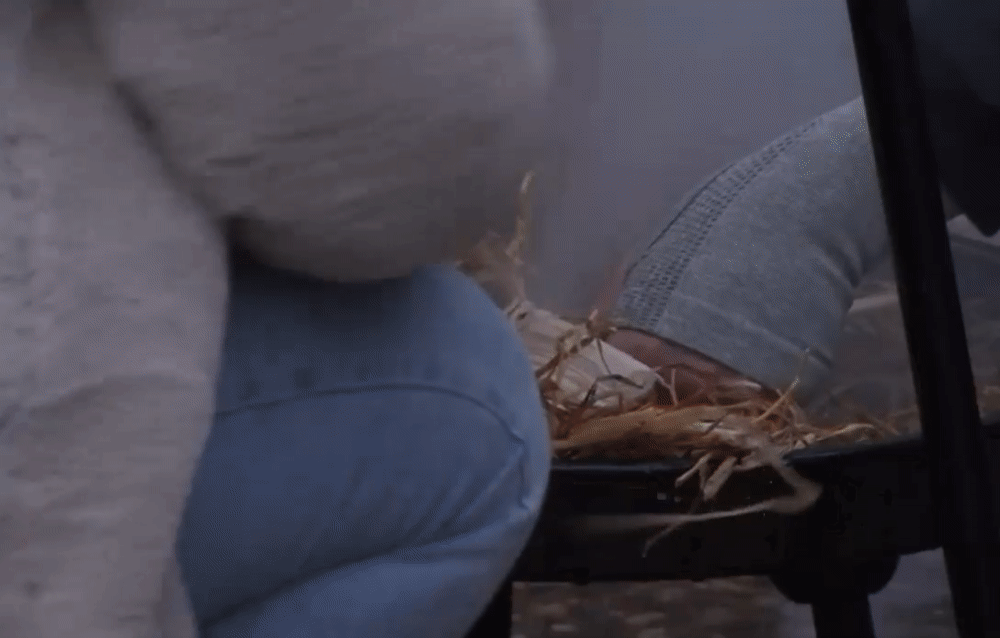352720cbcb342db89585e3859cddecd9.gif