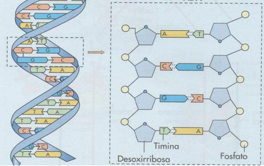 Biotecnología On Emaze