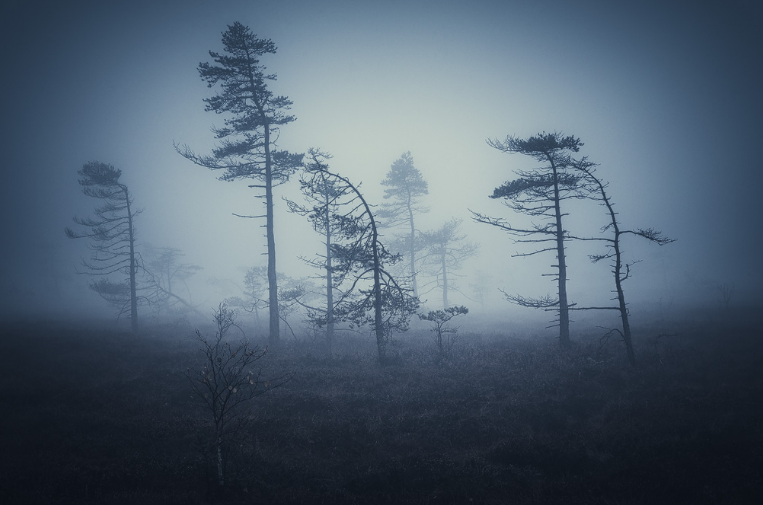 35cfe5dbebea2913f1b090aa20fa661c.png