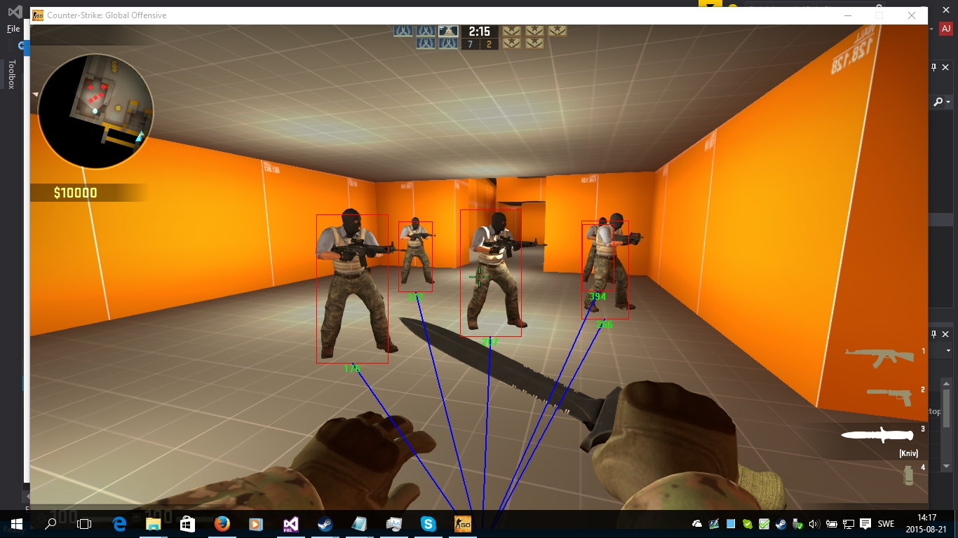 Counter Strike Global Offensive Direct3D 9 