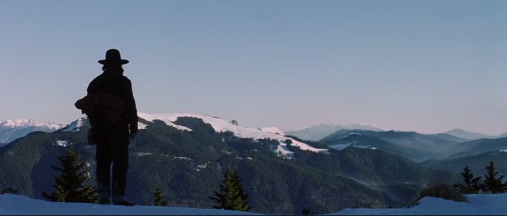 Cold mountain critical essays 07 image