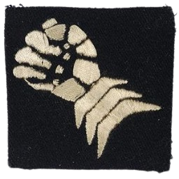 Ingame Shoulder Patch