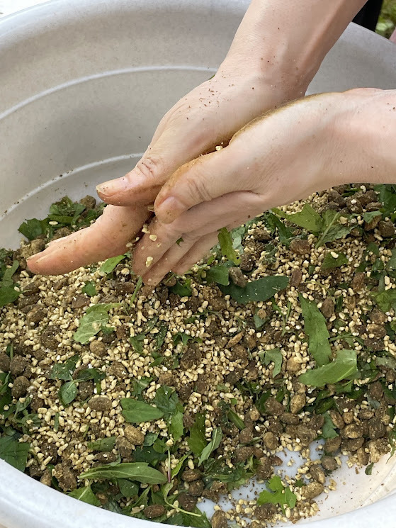 10月テーマ画像