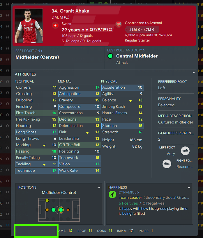 Football Manager Player Attributes & Hidden Attributes Explained •