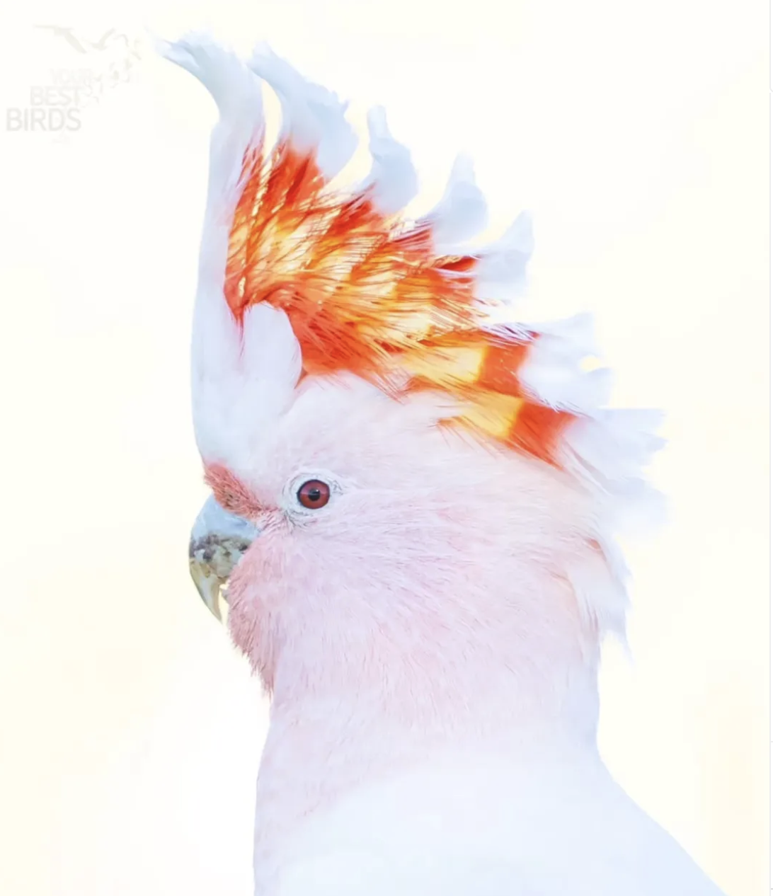 3b73254ad311b259166aec8c7cd2c237.png