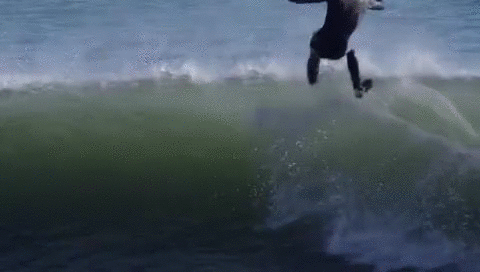 3ba3d13cf8a37cd5fbcd51b3bd656e68.gif