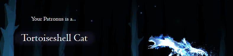 3c1fd7125d4cd2b7384896fa548f6c40.png