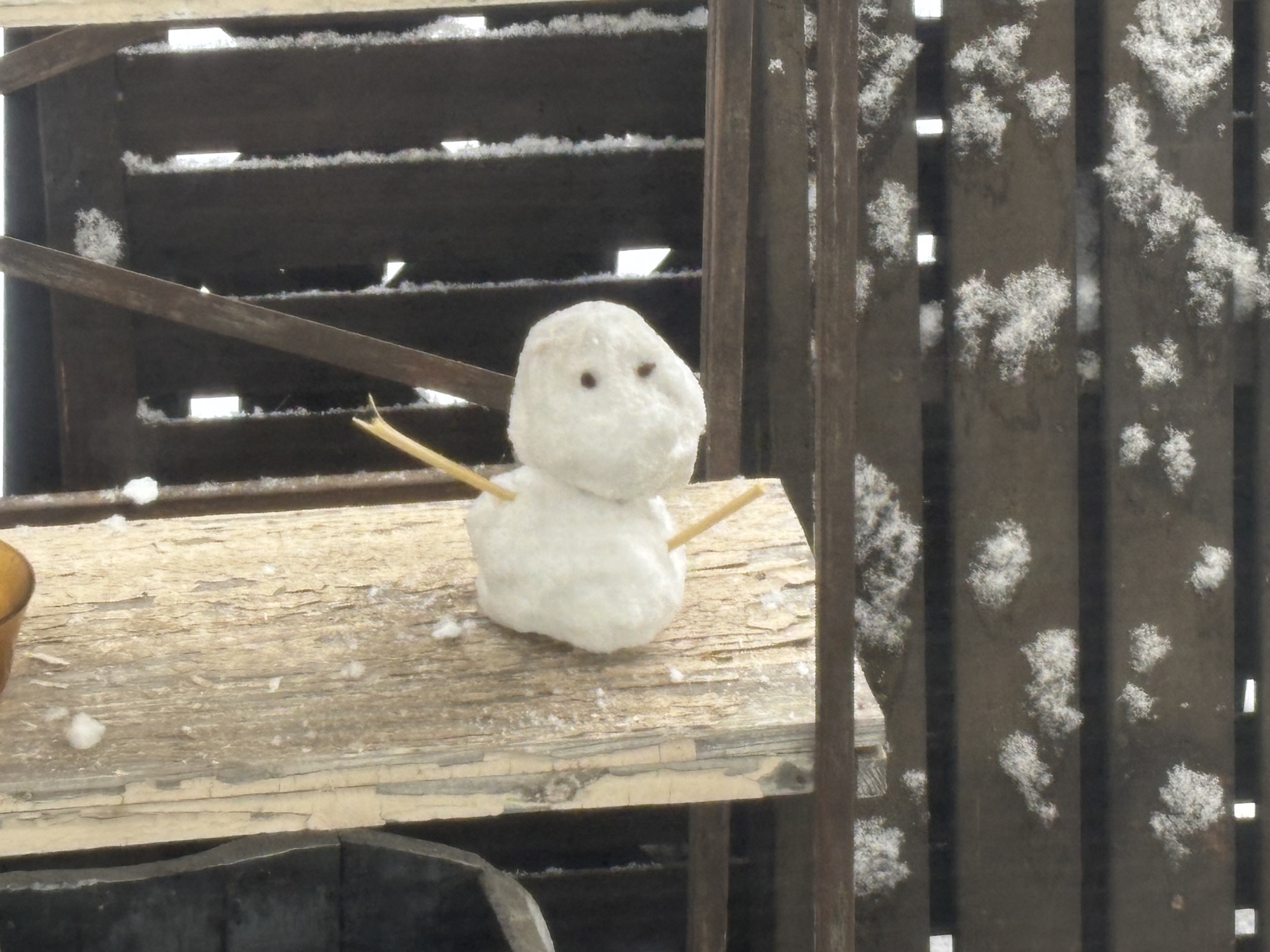 20260208 雪がすごかった
