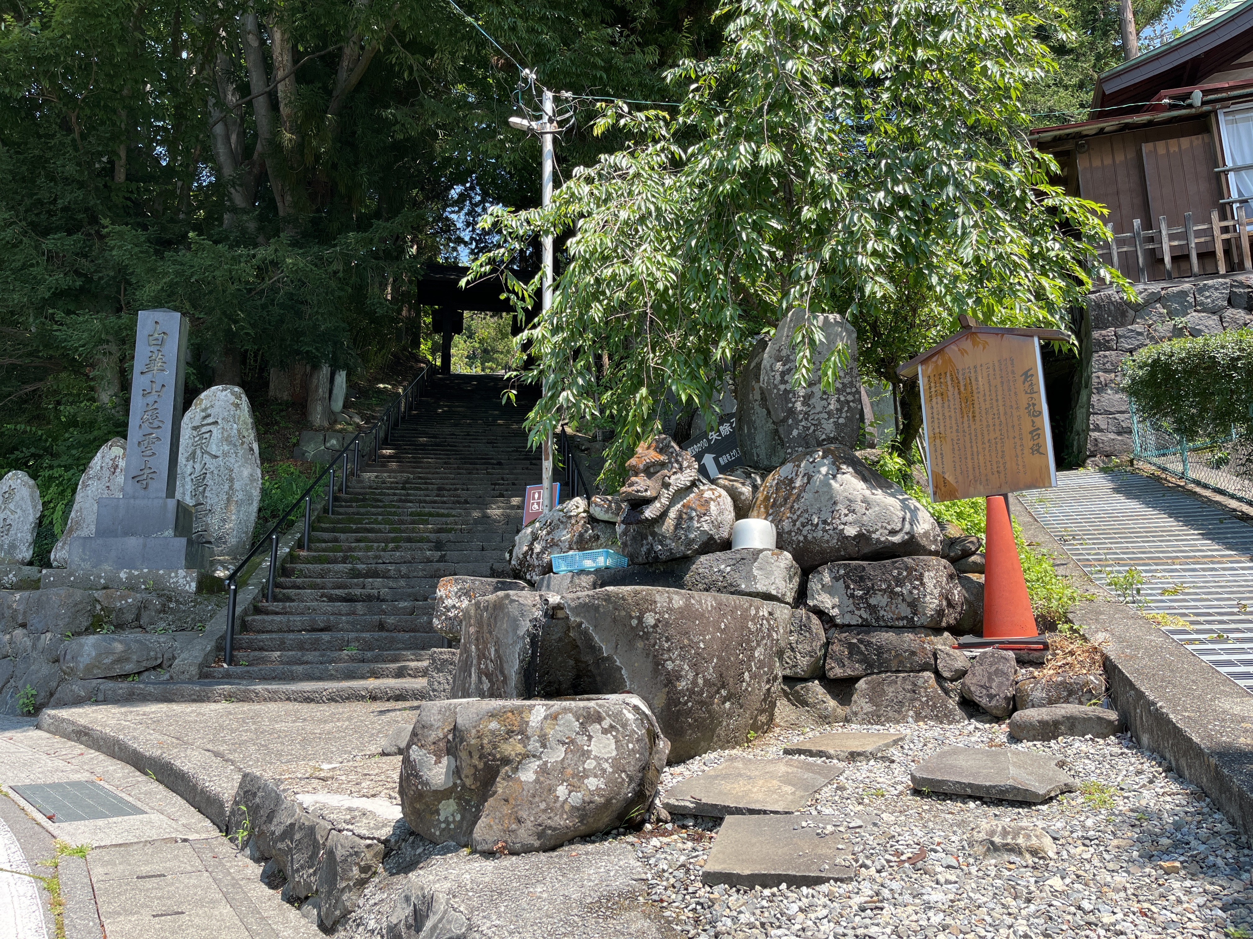 全景