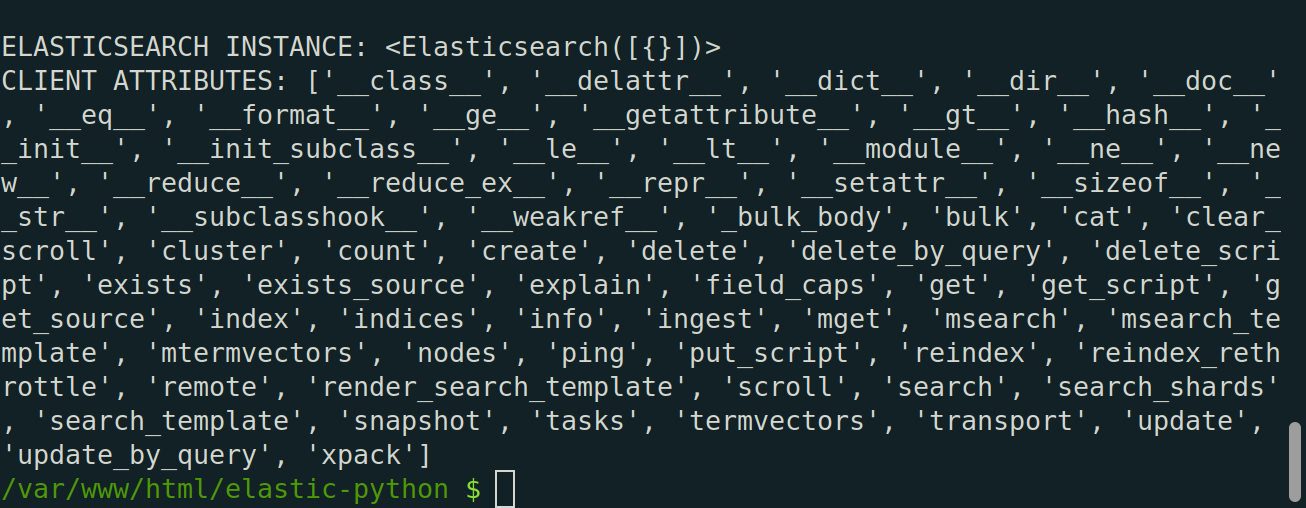 Client Instance of Elasticsearch in Python