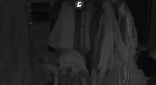 3c8b88b2227bf989e7dee897b78a7f21.gif