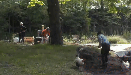 3d5e9e147ccf26a68433ee726b4e8b45.gif