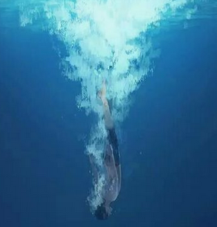 [Image: 3d8128051318d6944ccea0d3b686efd5.png]