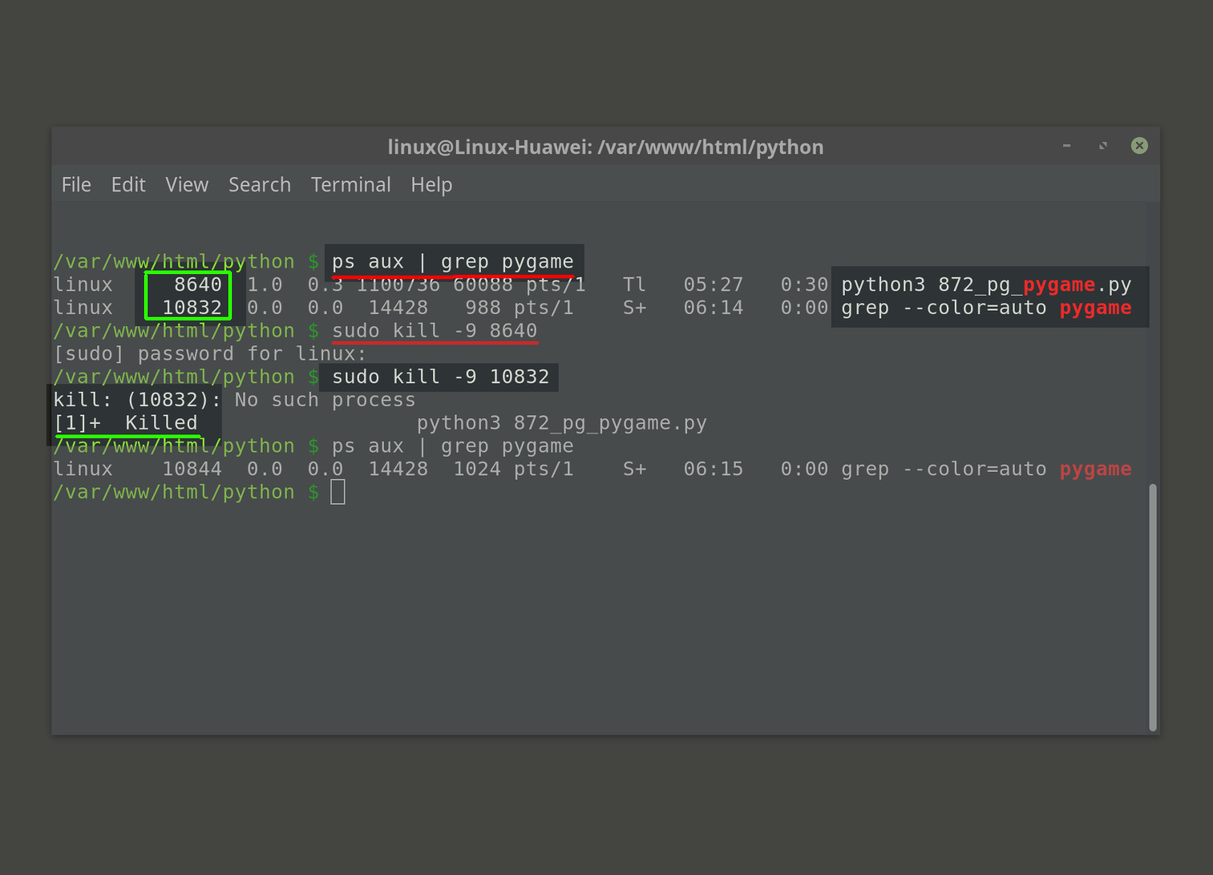Screenshot of a terminal window using grep to kill Pygame using PID