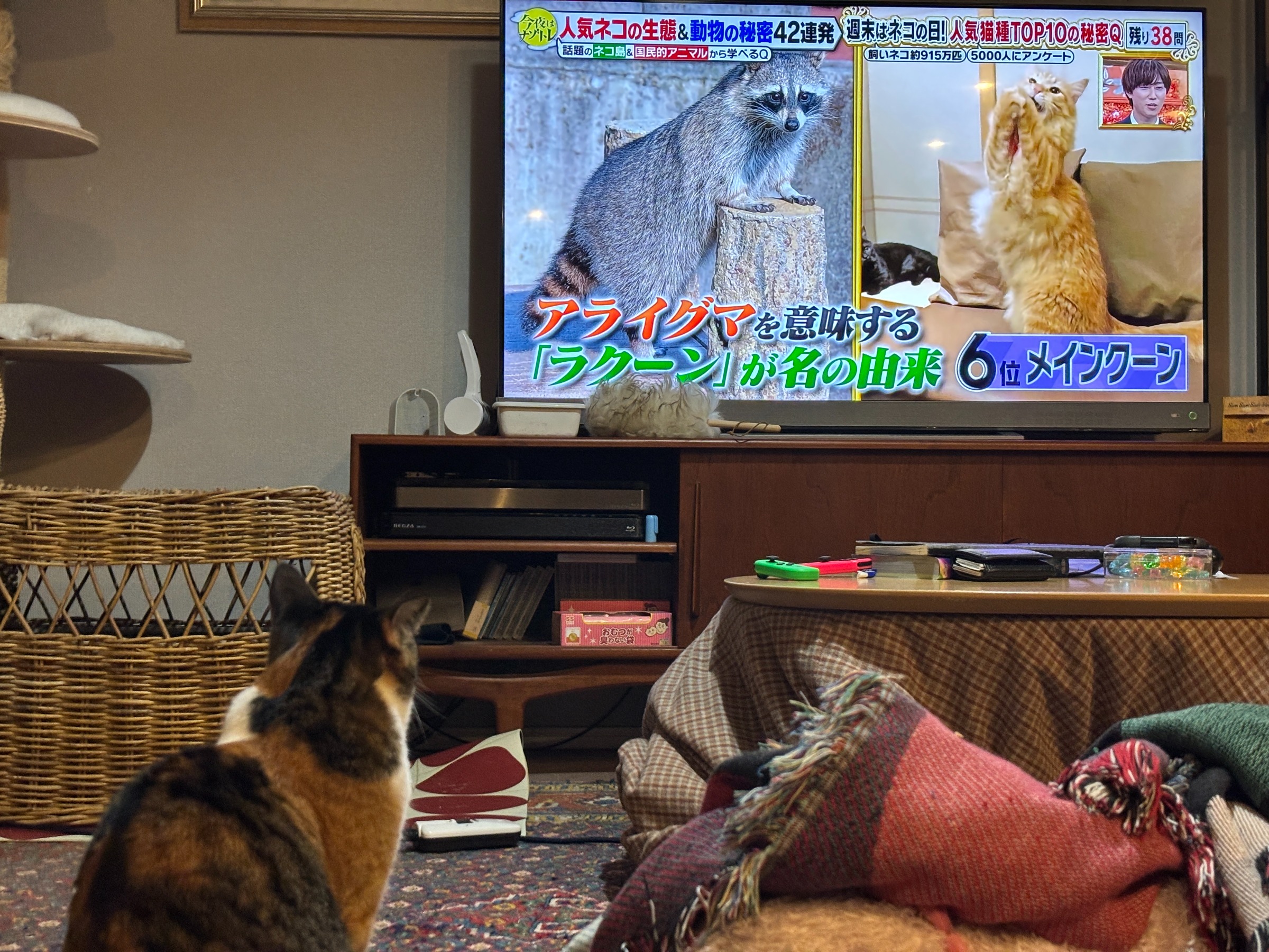 20250218 早起き習慣を取り戻す
