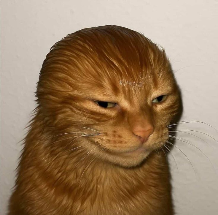 KETUATOTO | Platform Gaming dengan Legalitas Toto Slot & Toto Togel Terpercaya